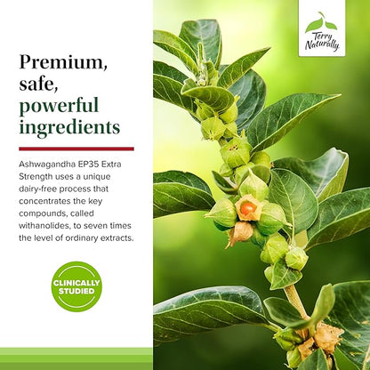 Terry Naturally Ashwagandha EP35 Extra Strength - Herbal Supplement for Sleep Support - Aid Healthy Stress Response - Endurance & Energy Support - 60 Capsules (60 Servings)