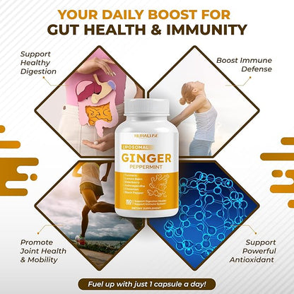Liposomal Ginger Peppermint Turmeric Elderberry - Support Digestion Health, Immune System - Made and Tested in The USA