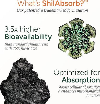 4000 mg Pure Himalayan Shilajit Gummies I No Added Sugar I KSM-66 Ashwagandha, Gokshura| 75%+ Fulvic Acid & 85+ Trace Minerals I Men,Women I Non-GMO I Lab Tested I 100% Natural I 120 Pouch