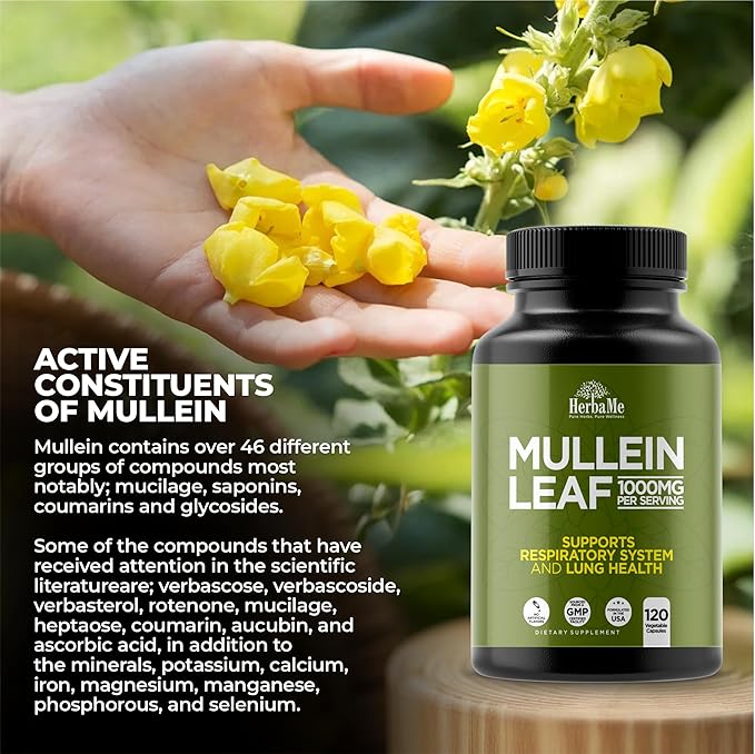 Mullein Leaf 1000mg, 120 Capsules, Lung Detox for Smokers, Lung Cleanse Supplement, Supports Respiratory Function Health, Promotes Mucous Membranes | Ear Health, Mucus Relief Herbal Pills