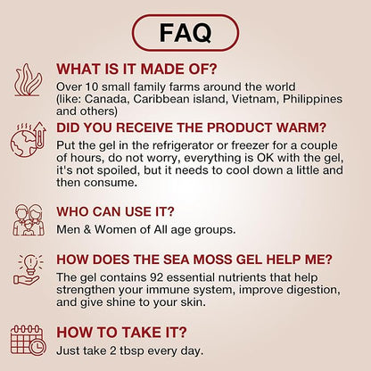 TrueSeaMoss Sea Moss Gel – Made in USA – Wildcrafted Seamoss, Fresh Fruits & Sea Vegetables – Elderberry, Pack of 3 (Labels may Vary)