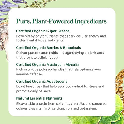 PURE SYNERGY Organic Superfood Powder | Green Superfood Powder | Whole Food Supplement with Organic Greens, Spirulina and Mushrooms | for Energy, Healthy Aging, and Immune Health (12.5 oz)