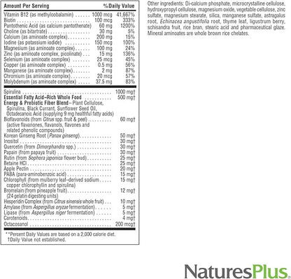 Natures Plus Source of Life No Iron - 180 Mini-Tabs, Pack of 2 - Multi-Vitamin & Mineral Supplement - Supports Natural Energy & Overall Well-Being - Gluten Free, Vegetarian - 60 Total Servings