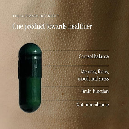 Juna Gut Therapy - Advanced Brain & Gut Health Support with Prebiotic & Probiotics - Improved Mood, Attention & Energy - Supports Memory, Focus & Mental Clarity - Fuel Cognitive Performance (80 Caps)