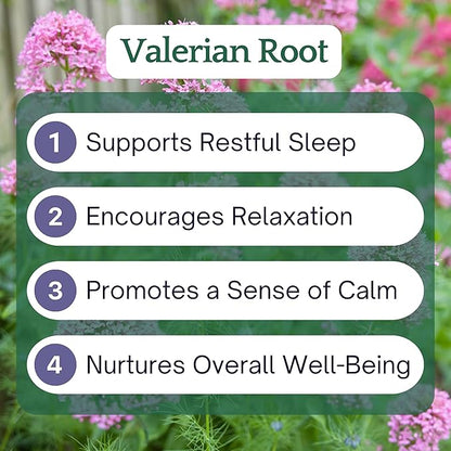 Herb Lore Valerian Root Tincture - Organic Liquid Extract Drops - Natural Herbal Sleep Aid for Kids & Adults - Alcohol Free (4 fl oz)