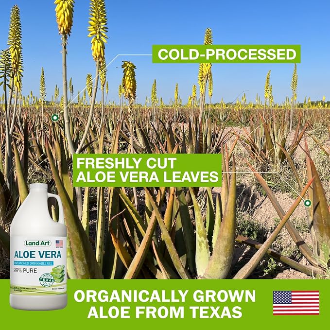Land Art Pure Aloe Vera Drinkable Gel Unflavored - Cold-Processed Inner Filet - from Organic Fresh Leaves from Texas - for Heartburn Relief - Acid Reflux - 64 fl oz