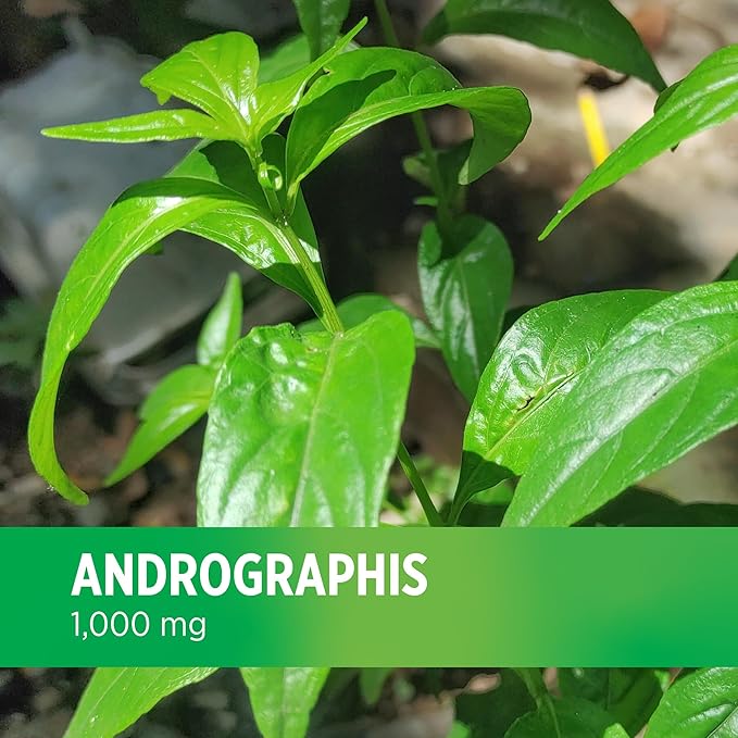 DOCTORS' PREFERRED Andrographis Extract - 1,000 mg/Serving, 120 Vegan Capsules