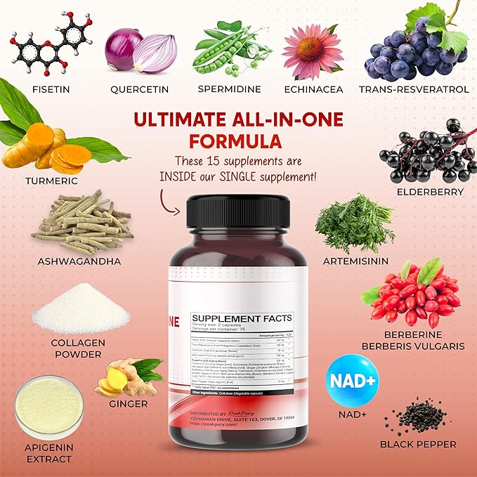 Fisetin Resveratrol Quercetin Elderberry, Echinacea Ashwagandha Turmeric Ginger - Made in USA
