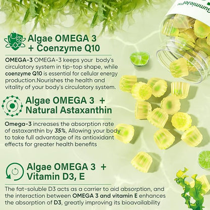 Sugar Free Omega 3 Fatty Acid 2000mg With 640mg DHA & 290mg EPA, Multivitamin, CoQ10, Astaxanthin + Ginger Filled Gummies for Nausea - Stomach Relief - Ultra Absorption for Digestive Support