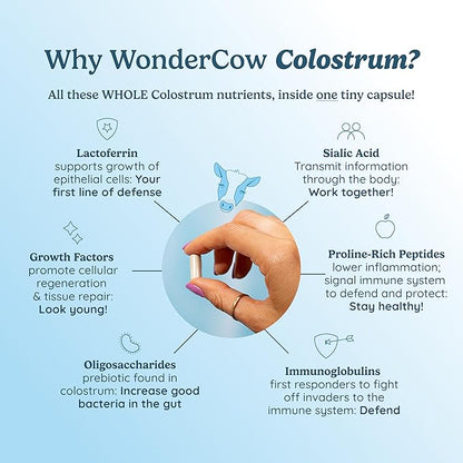 Colostrum Capsules Supplement for Gut Health, Immune Support, Muscle Recovery & Wellness | Natural IgG Pure Whole Bovine Colostrum Superfood, Unflavored, 30 Servings
