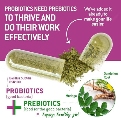 Bacillus Subtilis Spore Based Probiotic — High Potency Strain with Prebiotic for Balanced Belly | Daily Gut Health & Microbiome Support for Family | 6 Billion CFU Per Day | 180 Vegetarian Capsules