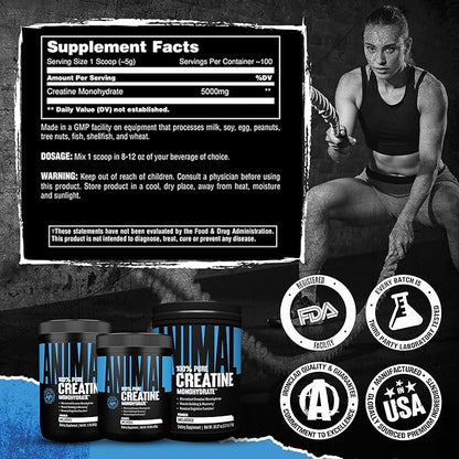 Animal Creatine Monohydrate Powder - Micronized Creatine for Women and Men, Supports Muscle Growth, Strength, Endurance, Recovery and ATP Production, Gym & Workout Supplements - Unflavored, 500g