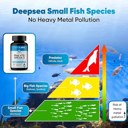 rTG Omega 3 Fish Oil Dietary Supplement - High Absorption & Fast Acting, Burpless Fish Oil Supplement from Anchovy. re-esterified Triglyceride w/EPA & DHA (as rTG) 960mg - 120 Softgels by CGM Labs