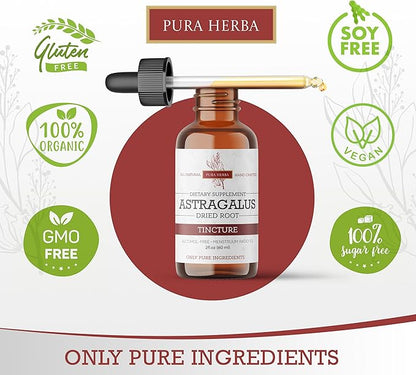 Organic Astragalus Tincture - Premium Astragalus Root Extract for Immune Support - Alcohol-Free, Sugar-Free, Vegan - High Potency Liquid Supplement - Made in USA - 2 Fl.Oz.