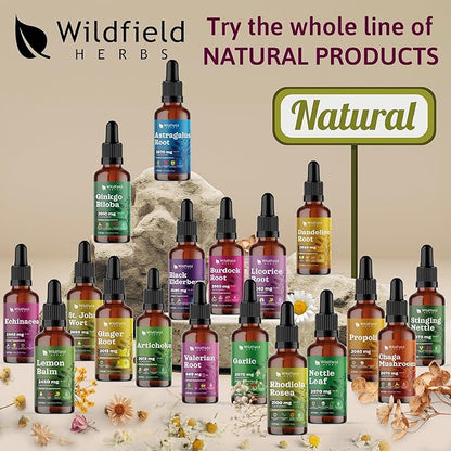 4 oz Liquid Echinacea Extract - Echinacea Root Drops Tincture 2440mg (Echinacea purpurea) Herbal Supplement Absorbs Better Than Capsules, 2 Month Supply, 84 Servings, Alcohol-Free - 2 Oz, Pack of 2