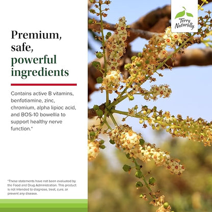 Terry Naturally Healthy Feet & Nerves - Herbal Supplement with Bioactive Vitamin B12 - Circulation & Nerve Health Support Supplement - Vegan Capsules with Boswellia Serrata - 60 Capsules (Pack of 2)