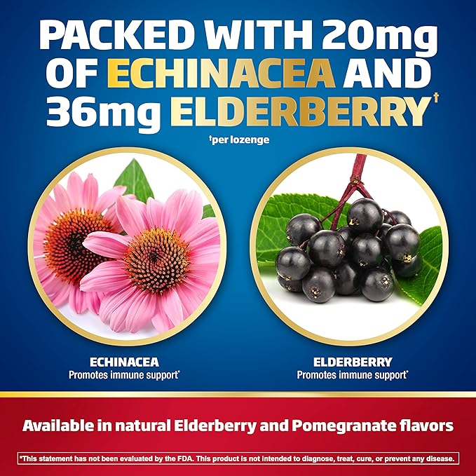 Defend-EEZE Immune Support Dietary Supplement Lozenges, 100% Daily Value of Zinc, Vitamins C & D per Dose, with Echinacea & Elderberry, Elderberry Flavor, 30 Lozenges