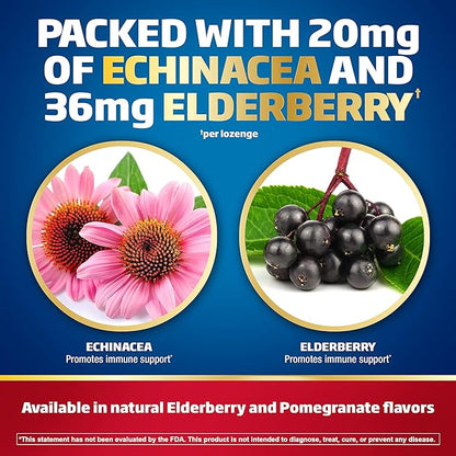 Defend-EEZE Immune Support Dietary Supplement Lozenges, 100% Daily Value of Zinc, Vitamins C & D per Dose, with Echinacea & Elderberry, Elderberry Flavor, 30 Lozenges