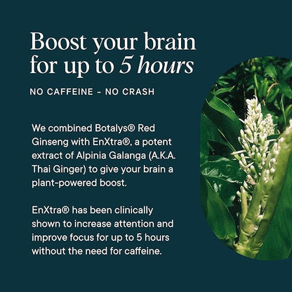 Ora Organic - Brain Health Supplement for Focus, Mental Energy + Memory - Panax Red Ginseng, Bacopa Monnieri, Alpha GPC, & EnXtra - Third-party Tested & Caffeine-free - 60 Capsules
