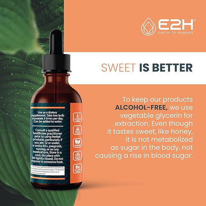 E2H Cordyceps Mushroom Extract - All-Natural Immune System, Energy & Stamina Support from Advanced Mushroom Supplement - Cordyceps Mushrooms Supplement - Non-GMO, Vegan (3 Bottles)