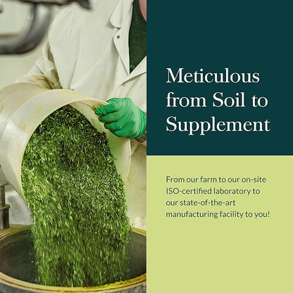 Gaia Herbs Astragalus Supreme - Immune and Antioxidant Support Herbal Supplement - with Astragalus Root, Schisandra Berry, and Ligustrum - 60 Vegan Liquid Phyto-Capsules (15-Day Supply)