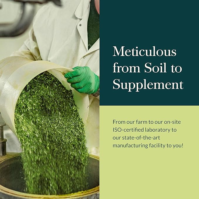 Gaia Herbs Turkey Tail Mushroom - Immune Support Supplement to Help Maintain Liver Health - with Organic Turkey Tail Mushroom Fruiting Body Extract - 40 Vegan Capsules