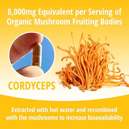 ENCAPSULATE Cordyceps Capsules 8:1 Extract – Premium Organic Fruiting Body 8:1 Mushroom Extract – Adaptogen Mushroom Supplement for Performance, Energy, Stamina & Immune Support – 60 Vegan Capsules