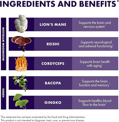 Host Defense MycoBotanicals Brain* Capsules - Brain Support Supplement with Lion's Mane, Reishi & Cordyceps Mushroom - Herbal Supplement for Memory & Focus Support - 60 Capsules (30 Servings)*