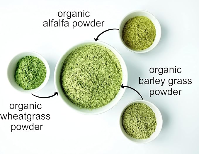 Food to Live Organic SuperGrass Powder Blend – Mixed Alfalfa, Barley Grass, and Wheatgrass Powders. Non-GMO, Pure Superfood, Vegan, Kosher, Bulk. Mixes Well. Perfect for Smoothies, and Shakes