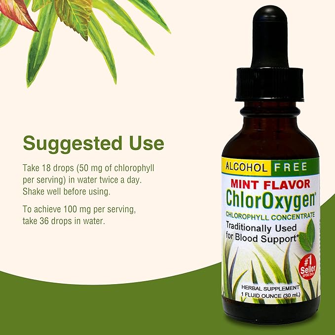 Herbs Etc. ChlorOxygen Chlorophyll Concentrate - Highly-Concentrated Energy Support - Aids Healthy Blood Circulation - Natural Vitality Support - Alcohol-Free - 1 fl oz, Mint (About 66 Servings)