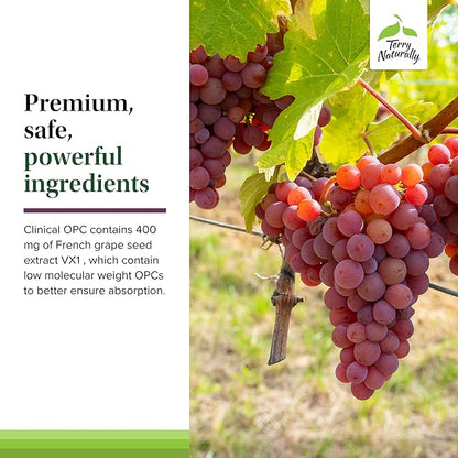 Terry Naturally Clinical OPC Extra Strength - Cardiovascular Health & Focus Support - Supplement with Grape Seed Extract - Immune Support Supplement - 60 Softgels (Pack of 3)