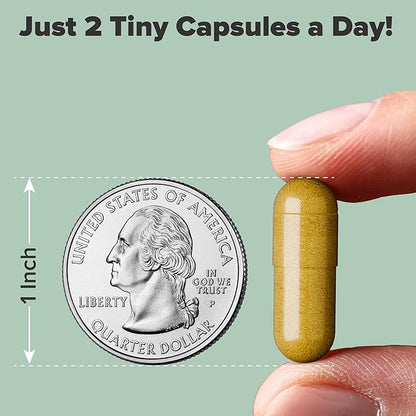 nooro SciatiGuard Sciatica Supplement – Sciatic Nerve Capsules with Vitamins B1, B6, B12, Magnesium, Ginger, Alpha Lipoic Acid – Support for Back Comfort – 60 Capsules