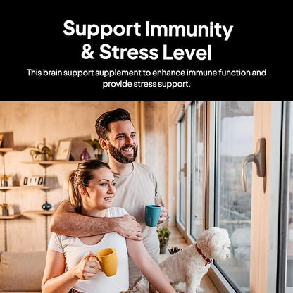 Doctor Morse's Brain & Nervous Systems Support - Support Immunity & Stress Level - Naturopath Formulated Nootropic Supplement - Ginkgo Leaf, Gotu Kola, Astragalus Root & Butchers Broom - 90 Capsules