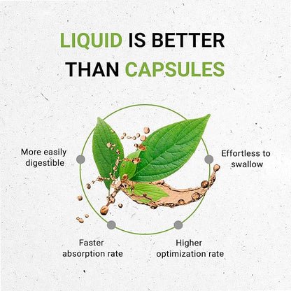 Secrets of the Tribe Bacopa USDA Organic | Alcohol-Free Extract, High-Potency Herbal Drops | Made from 100% Certified Organic Bacopa (Bacopa Monnieri) Dried Herb (2x4 oz)