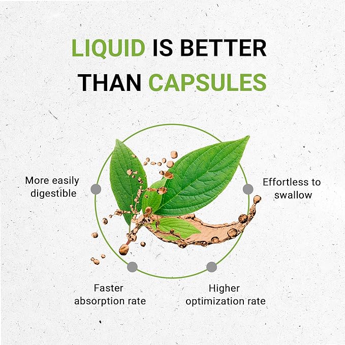 Secrets of the Tribe Milk Thistle Tincture Alcohol-Free Extract, Milk Thistle (Silybum marianum) Dried Seed 4 OZ