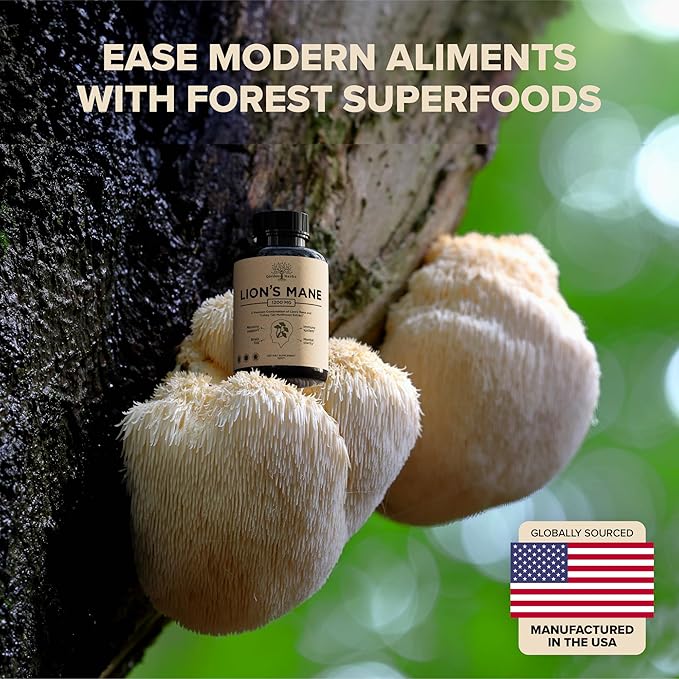 Lions Mane Supplement Capsules with Turkey Tail – Nootropic Brain Fog, Focus, Memory, Nerve Function, & Immune Support Supplement – Non-GMO 1200 Mg Lions Mane Mushroom Supplement, 120 Caps.