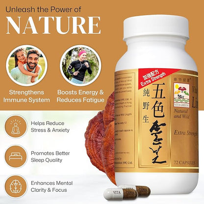 Vita Green Reishi Mushroom Capsules for Energy, Memory, and Immune Support – Pure Reishi Supplement with Natural Antioxidants for Daily Wellness and Energy – 72 Capsules
