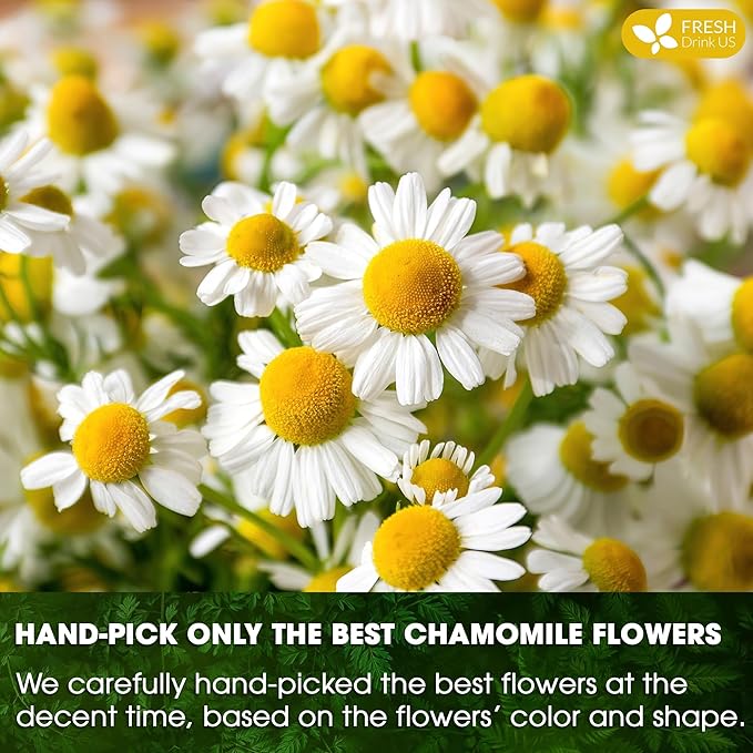 FRESHDRINKUS, Premium 16 Chamomile Tea Bags, 100% Natural and Pure Chamomile Flowers, Eco-conscious Tea Bags. Chamomile Flower Herbal Tea. No Sugar, No Caffeine, No Gluten, Vegan.