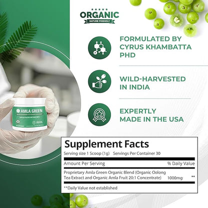 Amla Powder & Green Tea Superfood Supplement, 20x Ultra Concentrated Amla, Antioxidant Support, Made with Oolong Tea and Indian Gooseberries, Organic, Vegan, Classic Flavor, 30 Servings