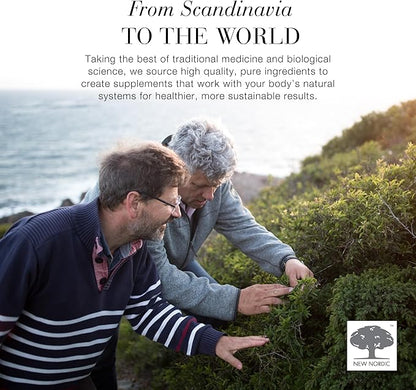 NEW NORDIC Elderberry Vegan Gummies, Sugar Free Chewable Immune Support with Vitamin C for Adults and Kids 4+, No Artificial Colors or Flavors, 60 Count (Pack of 1)