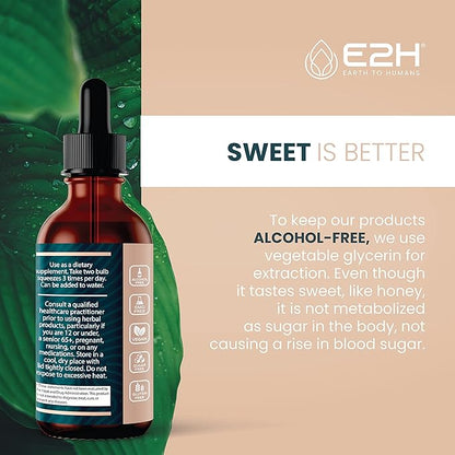 E2H Reishi Mushroom Extract - All-Natural Energy, Vitality and General Wellness Support from Advanced Mushroom Supplement - Reishi Mushrooms Supplement - Non-GMO, Vegan (2 Bottles)