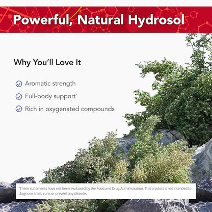 Physician's Strength Wild Oregano Essence - 12 fl oz - All-Natural Hydrosol - Supports Oxygen Levels - Non-GMO & Chemical Free - 12 Servings