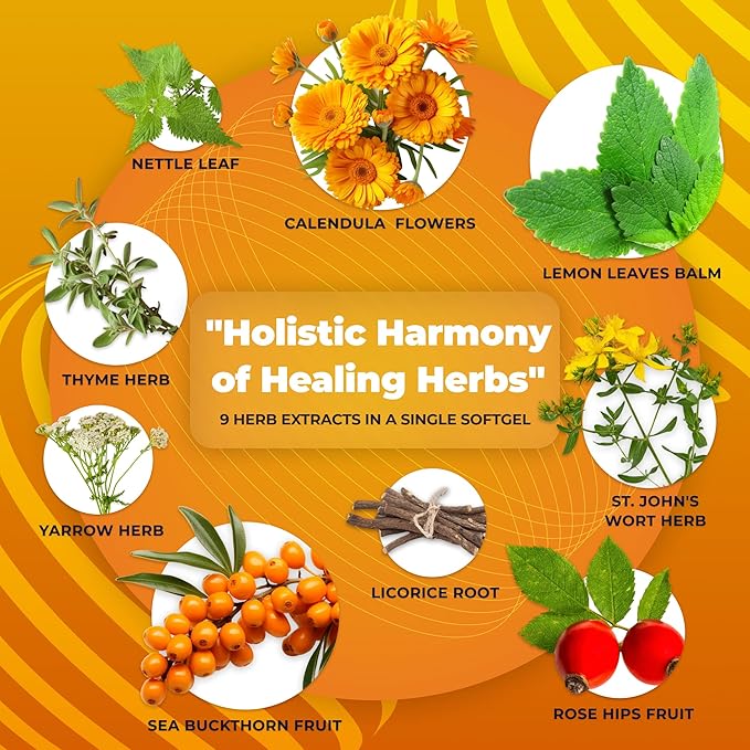 Gastroherb 9 Herb Extract - Airborne Immune Support Supplement - St Johns Wort Licorice Root Thyme Oil Immunity Supplement - Digestive Enzymes Immune System Booster - 90 Softgels