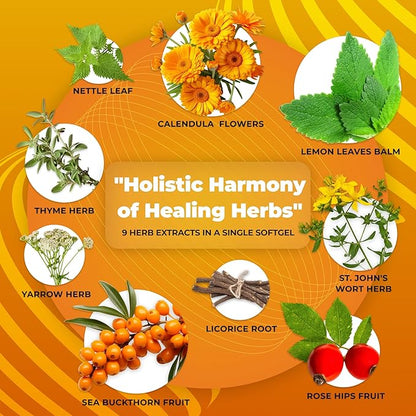 Gastroherb 9 Herb Extract - Airborne Immune Support Supplement - St Johns Wort Licorice Root Thyme Oil Immunity Supplement - Digestive Enzymes Immune System Booster - 90 Softgels