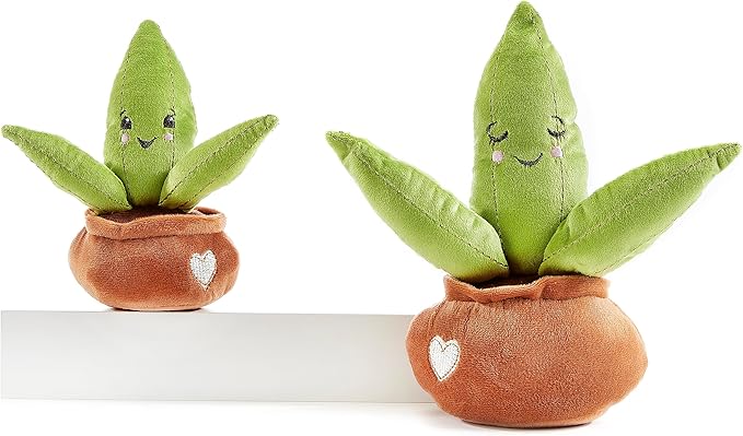 Hug Feel The Love Soil Mates – Aloe – Plush Plant Home Decor, Plush Shelf Decor, Cute Home Decor, Lil’ Seedlings Plush Toy, Thoughtful Message, 9 inches
