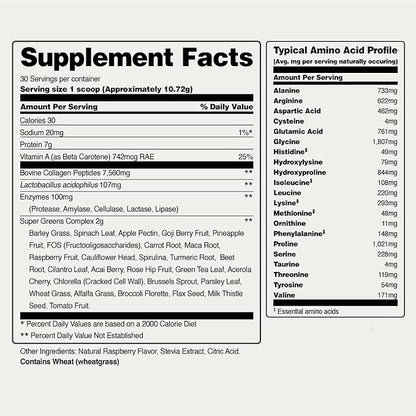 Snap Supplements Super Greens Powder with Collagen Peptides, 26 Fruits and Vegetables, Grass Fed, Non-GMO Daily Greens Superfood for Hair, Skin, Nails & Joint Support, 30 Servings