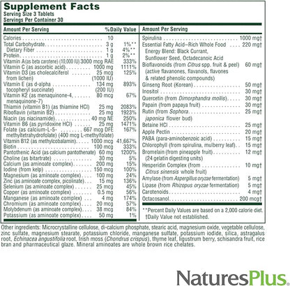 Natures Plus Source of Life No Iron Tablets - 90 Vegetarian Tablets - Whole Food Multivitamin & Mineral Supplement, Energy & Immunity Booster- Gluten-Free - 30 Servings