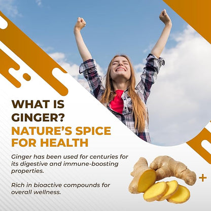 Liposomal Ginger Peppermint Turmeric Elderberry - Support Digestion Health, Immune System - Made and Tested in The USA