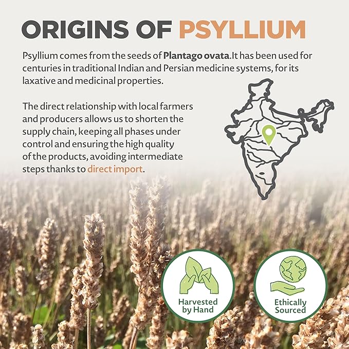 NaturaleBio Whole Psyllium Husk. 12 oz. 99% Pure Psyllium Seed Husks. Natural Fiber Supplement. USDA Organic Certified. Produced in India. Gluten Free, Keto, Paleo, Vegan Diets. Probiotics