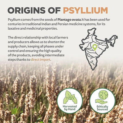 NaturaleBio Whole Psyllium Husk. 12 oz. 99% Pure Psyllium Seed Husks. Natural Fiber Supplement. USDA Organic Certified. Produced in India. Gluten Free, Keto, Paleo, Vegan Diets. Probiotics